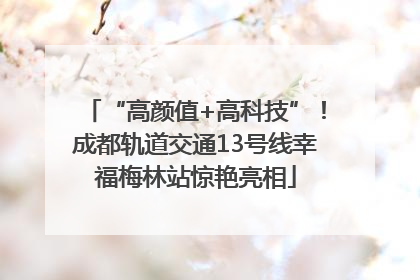“高颜值+高科技”！成都轨道交通13号线幸福梅林站惊艳亮相