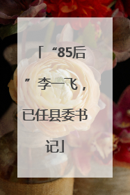 “85后”李一飞，已任县委书记