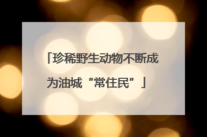 珍稀野生动物不断成为油城“常住民”