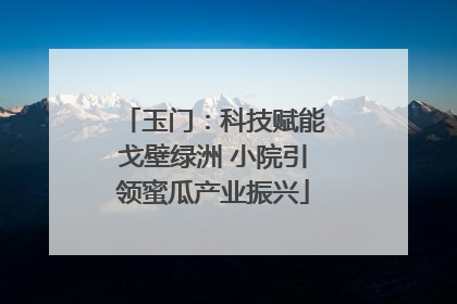 玉门：科技赋能戈壁绿洲 小院引领蜜瓜产业振兴