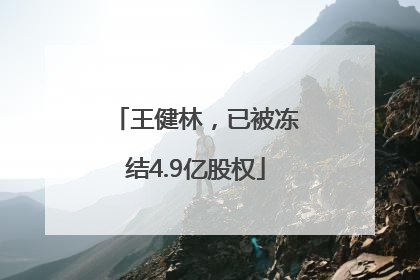王健林，已被冻结4.9亿股权