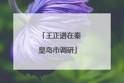 王正谱在秦皇岛市调研