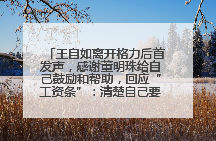 王自如离开格力后首发声，感谢董明珠给自己鼓励和帮助，回应“工资条”：清楚自己要什么，工资条不重要