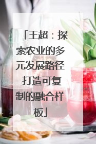 王超：探索农业的多元发展路径 打造可复制的融合样板