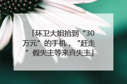 环卫大姐拾到“30万元”的手机，“赶走”假失主等来真失主
