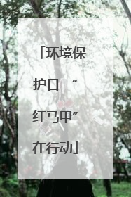 环境保护日 “红马甲”在行动