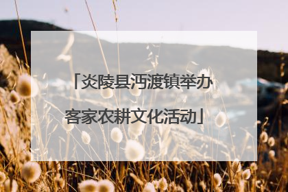 炎陵县沔渡镇举办客家农耕文化活动