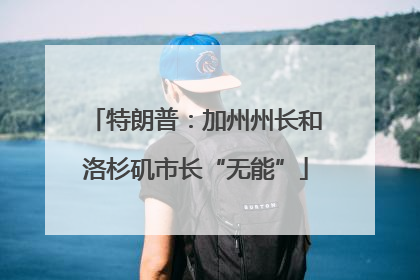 特朗普：加州州长和洛杉矶市长“无能”