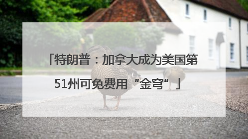 特朗普：加拿大成为美国第51州可免费用“金穹”