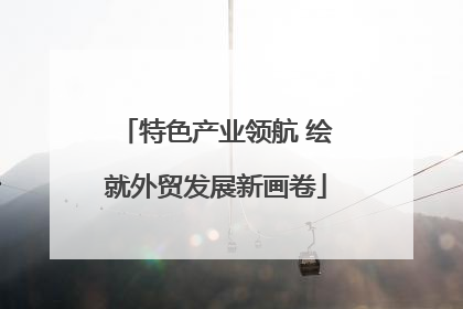 特色产业领航 绘就外贸发展新画卷
