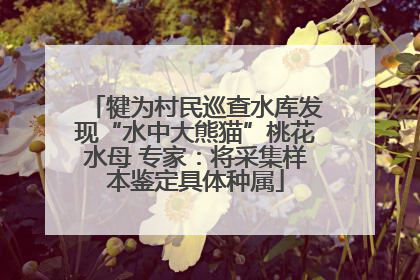 犍为村民巡查水库发现“水中大熊猫”桃花水母 专家：将采集样本鉴定具体种属