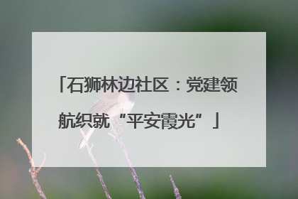 石狮林边社区：党建领航织就“平安霞光”