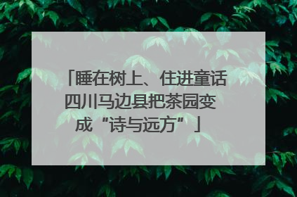 睡在树上、住进童话 四川马边县把茶园变成“诗与远方”