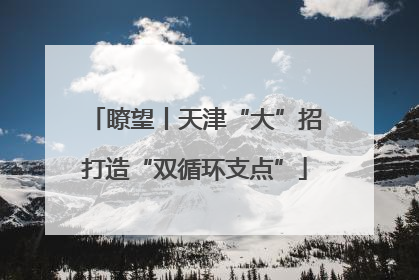 瞭望丨天津“大”招打造“双循环支点”