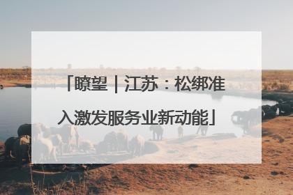 瞭望｜江苏：松绑准入激发服务业新动能