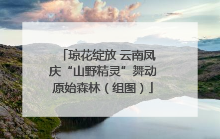 琼花绽放 云南凤庆“山野精灵”舞动原始森林（组图）