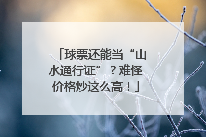 球票还能当“山水通行证”？难怪价格炒这么高！