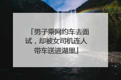 男子乘网约车去面试，却被女司机连人带车送进湖里