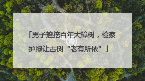 男子擅挖百年大樟树，检察护绿让古树“老有所依”