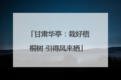 甘肃华亭：栽好梧桐树 引得凤来栖