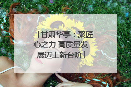 甘肃华亭：聚匠心之力 高质量发展迈上新台阶