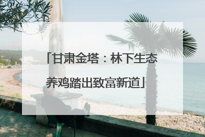 甘肃金塔：林下生态养鸡踏出致富新道