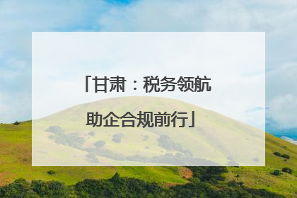 甘肃：税务领航 助企合规前行