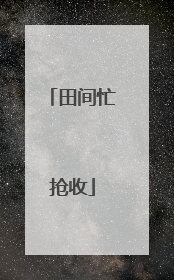 田间忙抢收