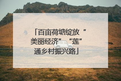 百亩荷塘绽放“美丽经济”“莲”通乡村振兴路