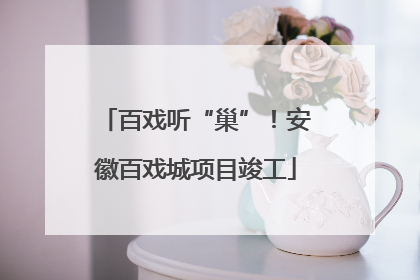 百戏听“巢”！安徽百戏城项目竣工