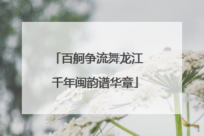 百舸争流舞龙江 千年闽韵谱华章
