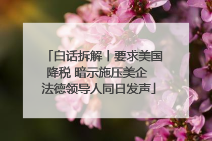 白话拆解丨要求美国降税 暗示施压美企 法德领导人同日发声