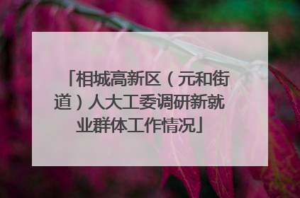 相城高新区（元和街道）人大工委调研新就业群体工作情况