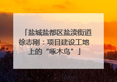 盐城盐都区盐渎街道徐志刚：项目建设工地上的“啄木鸟”