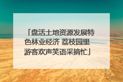 盘活土地资源发展特色林业经济 荔枝园里游客欢声笑语采摘忙