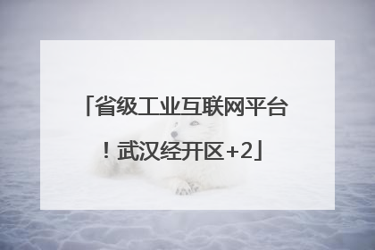 省级工业互联网平台！武汉经开区+2