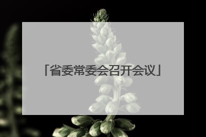 省委常委会召开会议