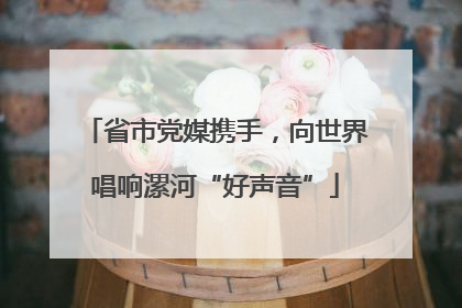 省市党媒携手，向世界唱响漯河“好声音”