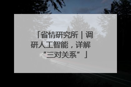 省情研究所｜调研人工智能，详解“三对关系”