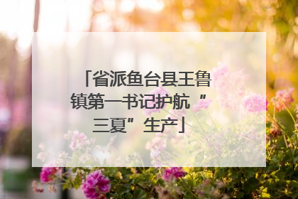 省派鱼台县王鲁镇第一书记护航“三夏”生产