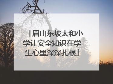 眉山东坡太和小学让安全知识在学生心里深深扎根