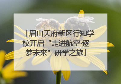 眉山天府新区行知学校开启“走进航空·逐梦未来”研学之旅