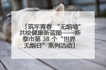 筑牢青春 “无烟墙” 共绘健康新蓝图——新泰市第 38 个“世界无烟日”系列活动
