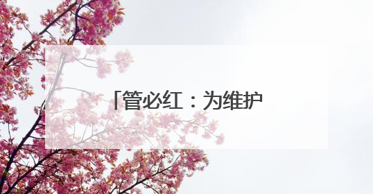 管必红：为维护华社权益发声