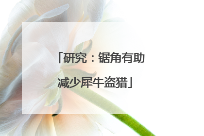 研究：锯角有助减少犀牛盗猎
