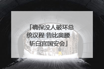 确保没人破坏总统议程 鲁比奥腰斩白宫国安会