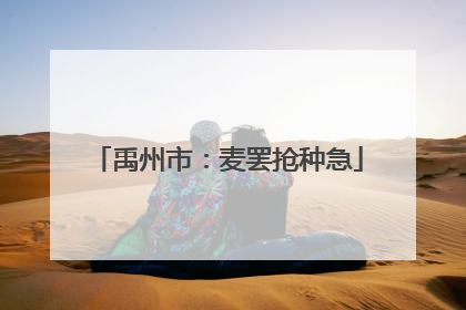 禹州市：麦罢抢种急
