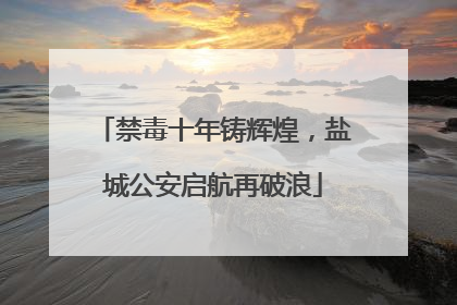 禁毒十年铸辉煌，盐城公安启航再破浪