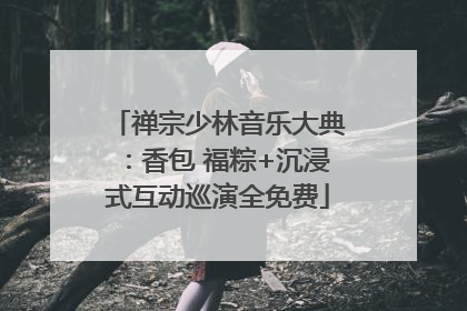 禅宗少林音乐大典：香包 福粽+沉浸式互动巡演全免费
