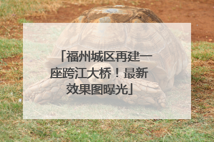 福州城区再建一座跨江大桥！最新效果图曝光